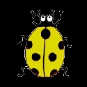 disponibile55