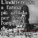 disponibile55