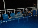 foto album di DevilTony