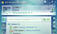 Raccolta Windows Live Messenger 8.0 Skins