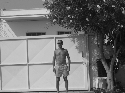 Foto Album 10336 di Shadow80 - 