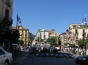 maxsorrento