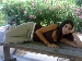 carlotta su ContattiMSG.com