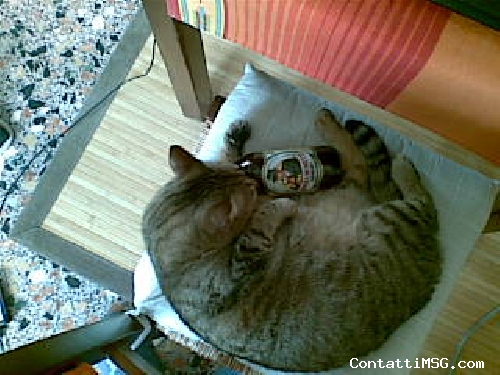 carloluna - Pordenone