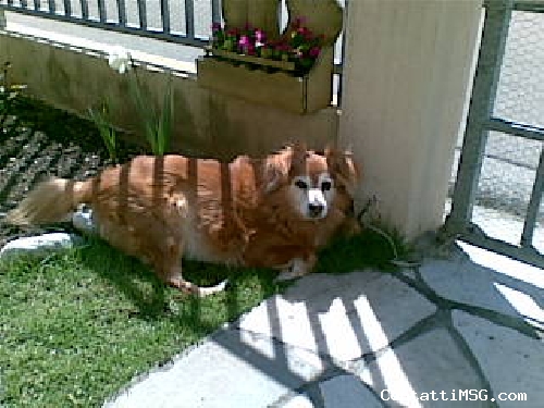 carloluna - Pordenone