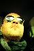 papashow
