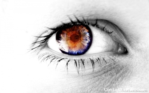 angioletto_pocholove - Foggia