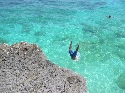 Foto Album 18056 di Minotauro - 