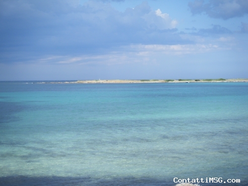 carlitos69 - Salerno