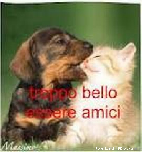 giannifrance - Terni