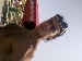 Principe92_