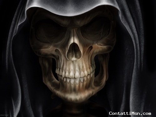 cucciolo93 - Palermo