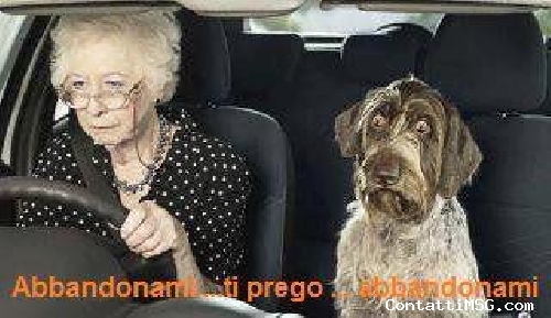 chiaraluna00 - Potenza