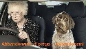 Foto Album 1895610 di chiaraluna00 - 