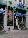 Foto Album 20075 di gattanera - 