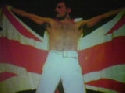 Foto Album 24919 di freddiemercury - 