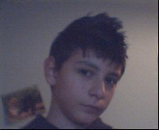IbraFibra