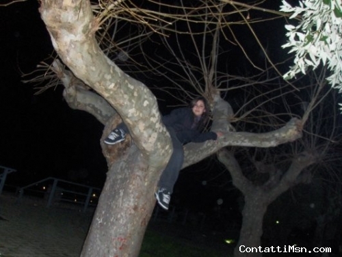 little dark - Salerno