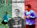 Foto Album 42715 di Lion 4 ever - 