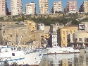 gorinzo
