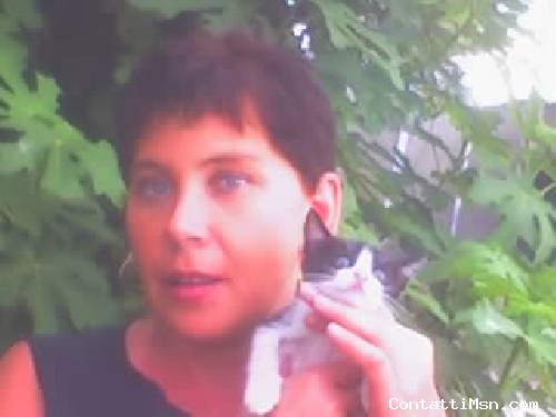 susan64 - Verona