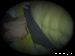 XxX_teo_XxX