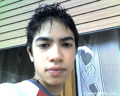 thejackal-myr - Roma