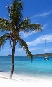 Foto Album 612922 di WINSTON - 