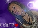 .stellina. su ContattiMSG.com