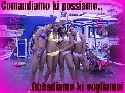 Foto Album 723162 di pikkolatoty - 
