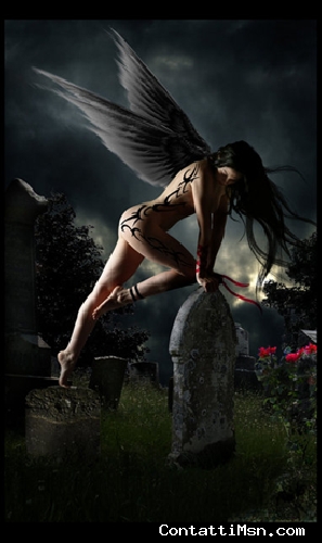 cuorelibero82 - Caserta