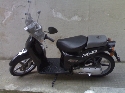 Foto Album 82291 di salvu92 - 